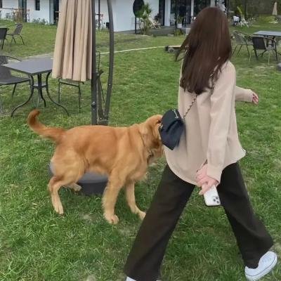 天钟